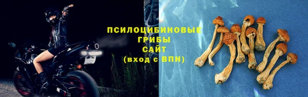 синтетический гашиш Алексин